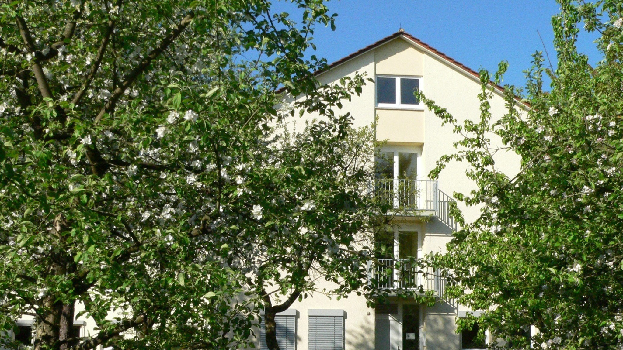 Volkshochschule Donau-Bussen | Stadt Riedlingen